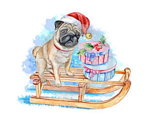 Pug dog on sleigh in Santa\'s hat. Gifts with bows. Illustration. Watercolor