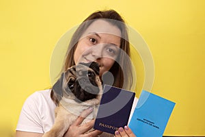 Pug dog with veterinary passport immigrating or ready for a vacation