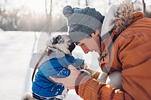 Pug dog walking on snow with his master. Puppy wearing winter coat. Man hugging his pet in winter forest