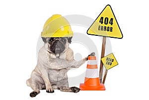 Pug dog with yellow constructor safety helmet and cone and 404 error and dead end sign on wooden pole