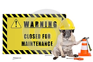 Pug dog with yellow constructor safety helmet and warning sign with text closed for maintenance