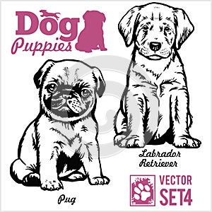 Pug and Labrador Retriever - Dog Puppies. Vector set. Funny dogs puppy pet characters different breads doggy