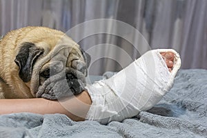 The pug laid his head on the ownerÃ¢â¬â¢s foot. Human foot in a cast. The dog shows pity and compassion photo