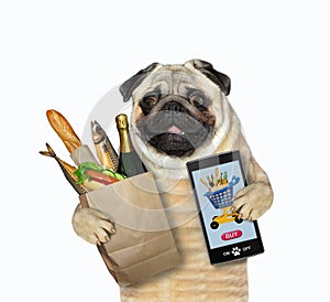 Pug orders food by phone 2