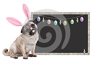 Pug puppy dog with bunny ears diadem sitting next to blank blackboard sign with easter decoration, on white background