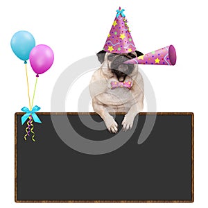 Pug puppy dog hanging with paws on blank blackboard sign with balloons and wearing pink party hat