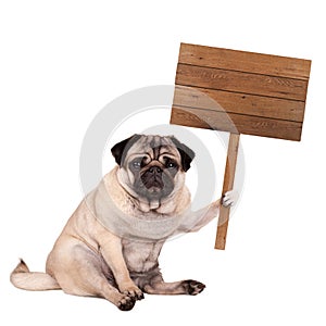 Pug puppy dog sitting down with blank wooden sign on pole, isolated on white background