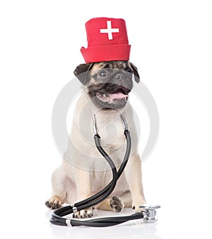 Pug puppy dog wearing nurses medical hat and stethoscope . isolated on white