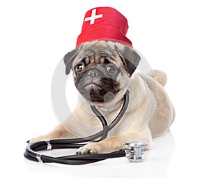 Pug puppy dog wearing nurses medical hat and stethoscope. isolated on white