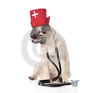 Pug puppy dog wearing nurses medical hat and stethoscope . isolated on white