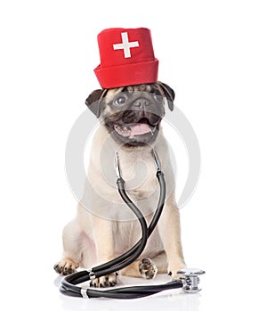 Pug puppy dog wearing nurses medical hat and stethoscope. on white