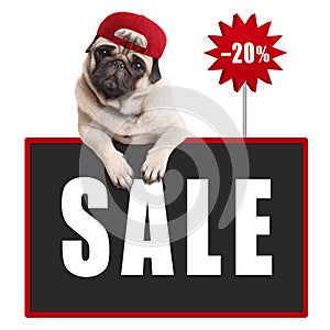 Pug puppy dog wearing red cap, hanging with paws on blackboard sign with text sale and 20 percent off,