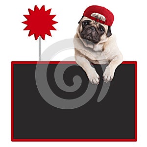 Pug puppy dog wearing red cap, hanging with paws on blank blackboard with sale sign