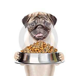 Pug puppy holding bowl of dry dog food. isolated on white background