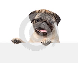 Pug puppy looking at camera from behind empty board. isolated