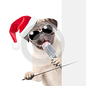 Pug puppy in red christmas hat holding pointing stick and peeking from behind empty board. isolated on white background