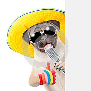 Pug puppy with retro microphone in sunglasses peeking from behind empty board and showing thumbs up. isolated on white background