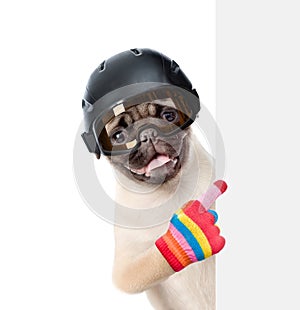 Pug puppy wearing a helmet peeking and pointing at empty board. isolated on white background