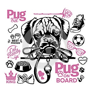 Pug set - Pug cricut shirt - Pug lover owner gift - Pug vector cut files photo