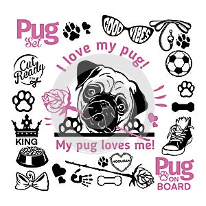 Pug set - Pug cricut shirt - Pug lover owner gift - Pug vector cut files photo