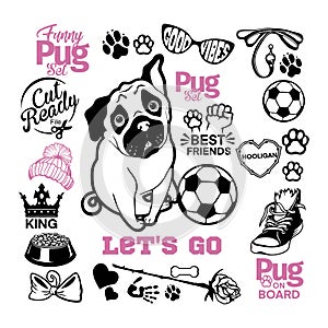 Pug set - Pug cricut shirt - Pug lover owner gift - Pug vector cut files photo