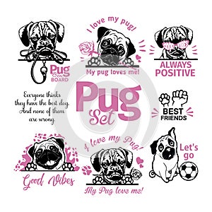Pug set - Pug cricut shirt - Pug lover owner gift - Pug vector cut files photo