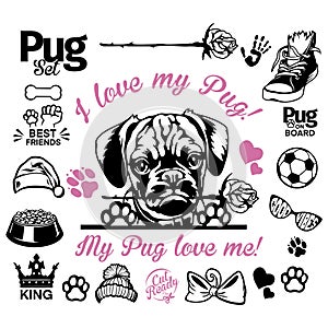 Pug set - Pug cricut shirt - Pug lover owner gift - Pug vector cut files photo