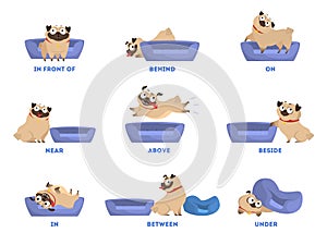 Pug set. Learning preposition concept. Animal above and behind