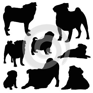 Pug silhouette vector illustration set