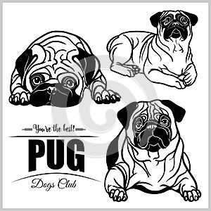 Pug - vector set isolated illustration on white background