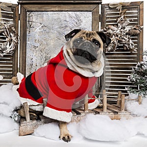 Pug wearing a christmas suit sitting in a winter scenery