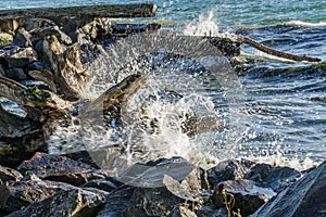 Puget Sound Shorebreak 4