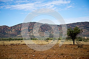 Pugilist Hill Lookout of Flinders Ranges