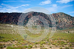 Pugilist Hill Lookout of Flinders Ranges