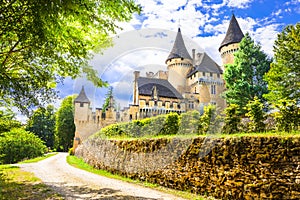 Puimartin castle ,Dordogne photo