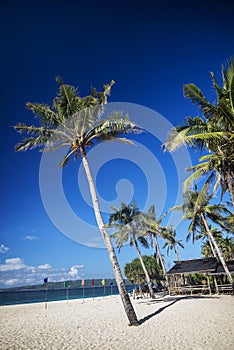 Puka beach in tropical paradise boracay philippines