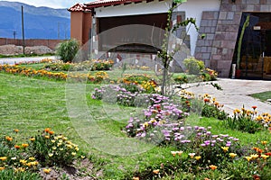 Green spaces in Pukara- Peru 4 photo