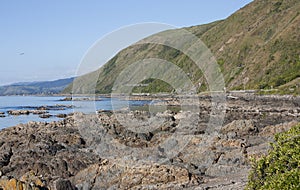 Pukerua Bay, New Zealand