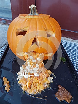 Puking pumpkin face with outcoming seeds