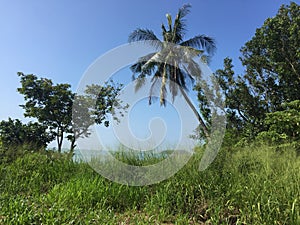 Pulau Besar Beach side photo