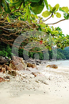 Pulau Tenggol photo