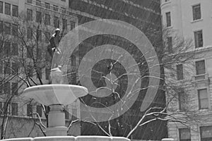 Pulitzer Fountain with the snow in movement