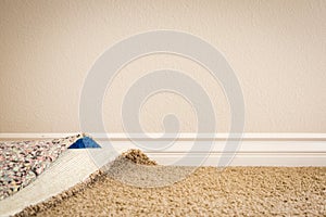 Pulled Back Carpet and Padding In Room