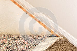 Pulled Back Carpet and Padding In Room