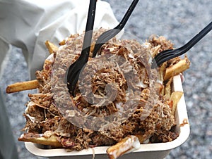 Pulled pork and french fries with cheese sauce photo