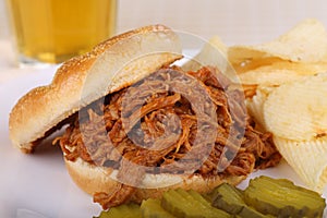 Pulled Pork Sandwich