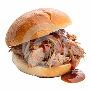 A pulled pork sandwich with barbecue sauce