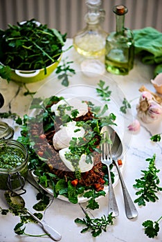 Pulled pork and vegy hash arugula chmichurri. selective focus