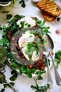 Pulled pork and vegy hash arugula chmichurri. selective focus