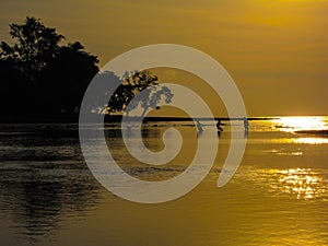 Pulling in the days catch, young fishermen working together at sunset